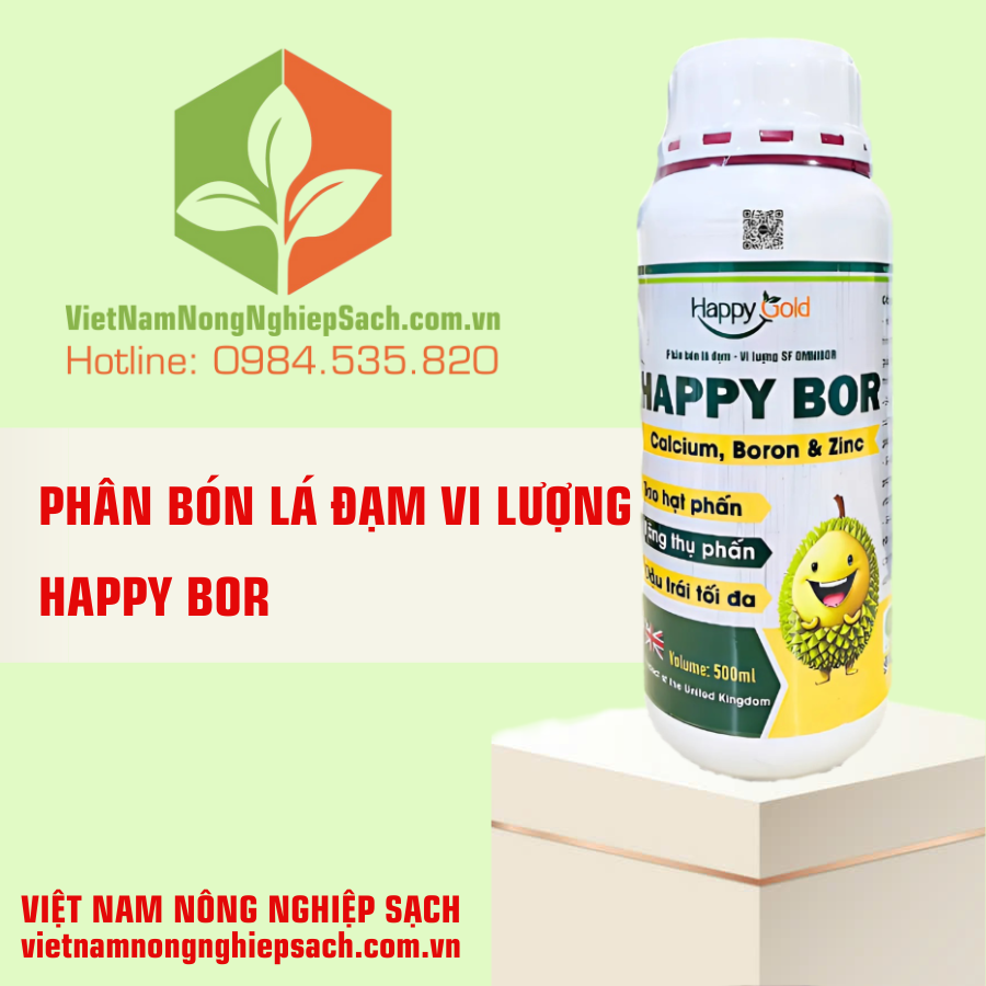 HAPPY BOR