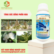 HITOCO 14 – HIỆU CANXI-BO-MAGIE (2)