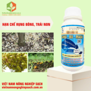 HITOCO 14 – HIỆU CANXI-BO-MAGIE (3)