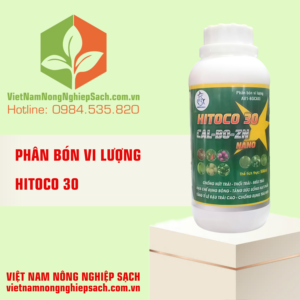 HITOCO 30