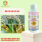 JAPAVIL 110SC – HIỆU SIÊU NẤM BỆNH UAE (3)