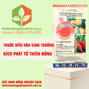 KÍCH PHÁT TỐ THIÊN NÔNG