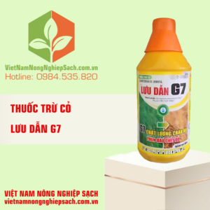 LƯU DẪN G7