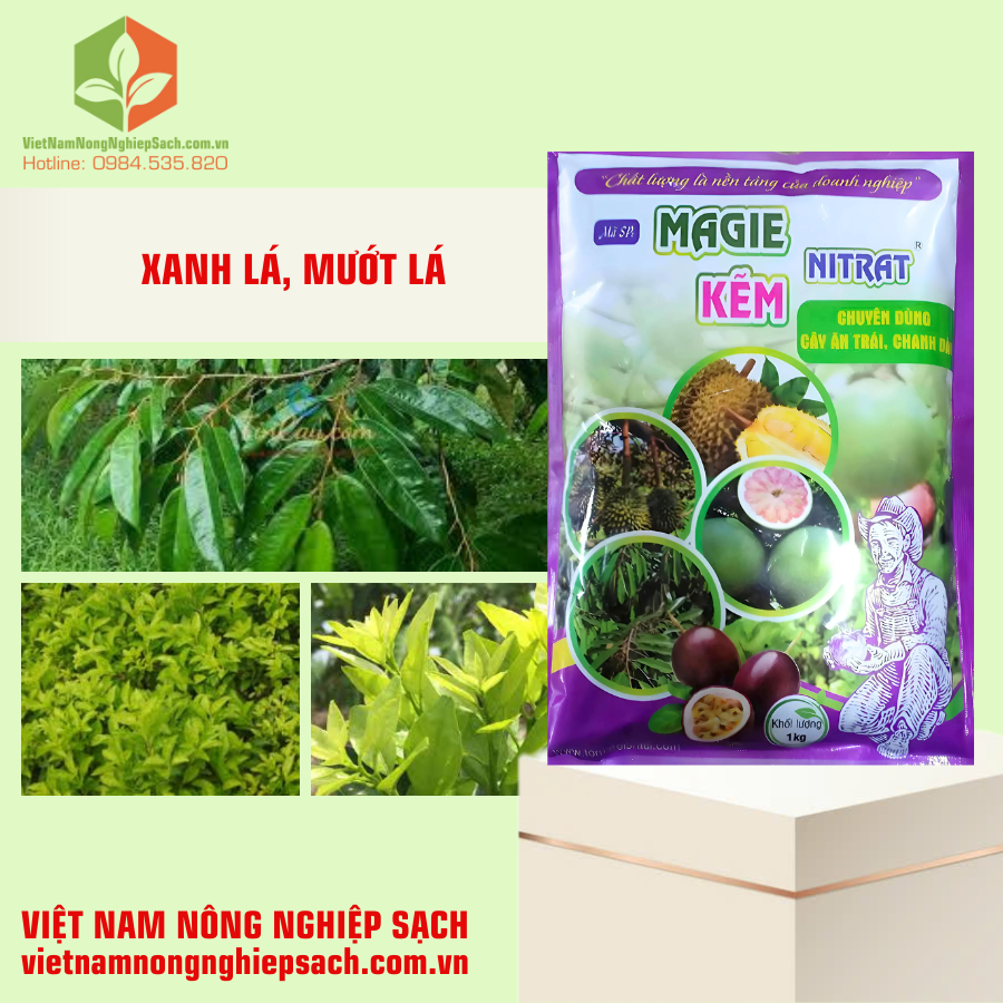 MAGIE KẼM NITRAT (2)