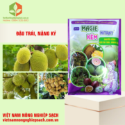 MAGIE KẼM NITRAT (3)
