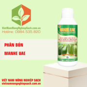 MANHE UAE