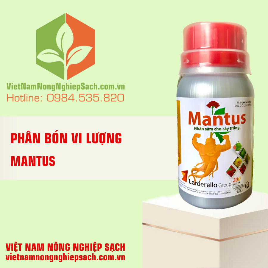 MANTUS