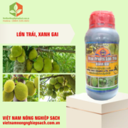 MAX-FRUITS LỚN TRÁI XANH GAI (2)