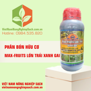 MAX-FRUITS LỚN TRÁI XANH GAI