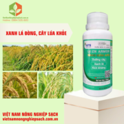 NANO KẼM APN (2)