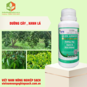 NANO KẼM APN (3)