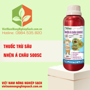 NHỆN Á CHÂU 500SC