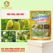 NUTRI FULVIC 20-20-20 (2)