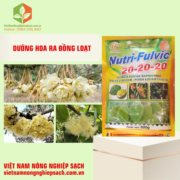 NUTRI FULVIC 20-20-20 (3)