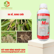 NUTRI MAX (2)