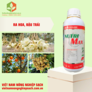 NUTRI MAX (3)