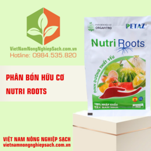 NUTRI ROOTS