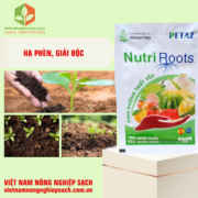 NUTRI ROOTS (2)