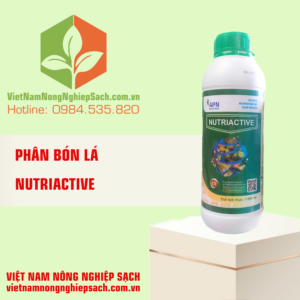 NUTRIACTIVE