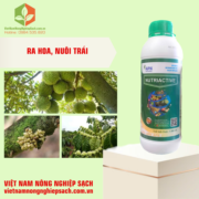 NUTRIACTIVE (3)