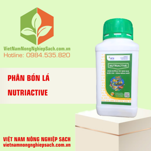 NUTRIACTIVE