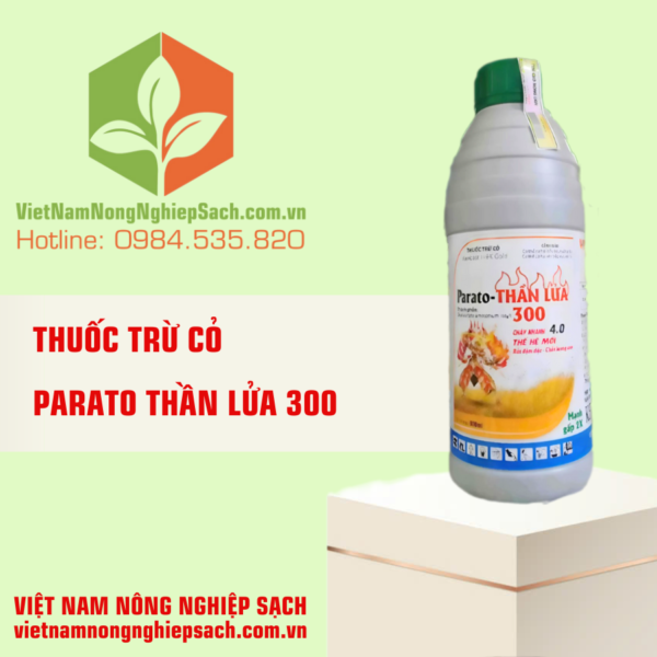 PARATO THẦN LỬA 300