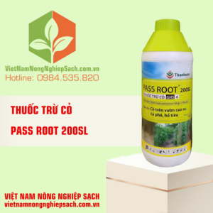 PASS ROOT 200SL