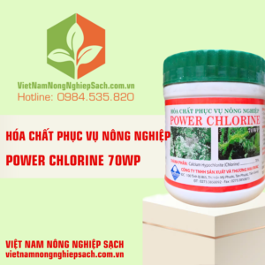 POWER CHLORINE 70WP