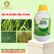 ROBIN 310EC (2)