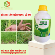ROBIN 310EC (3)