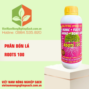 ROOTS 100