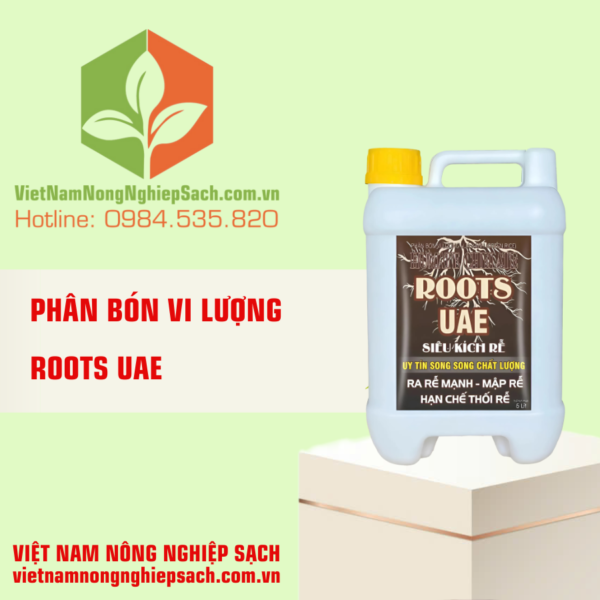 ROOTS UAE