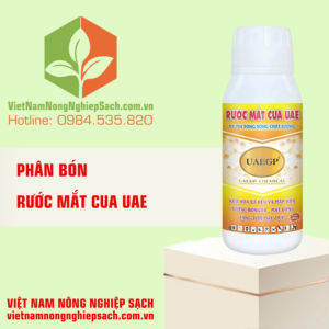 RƯỚC MẮT CUA UAE