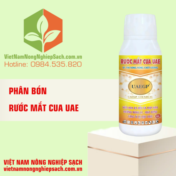 RƯỚC MẮT CUA UAE