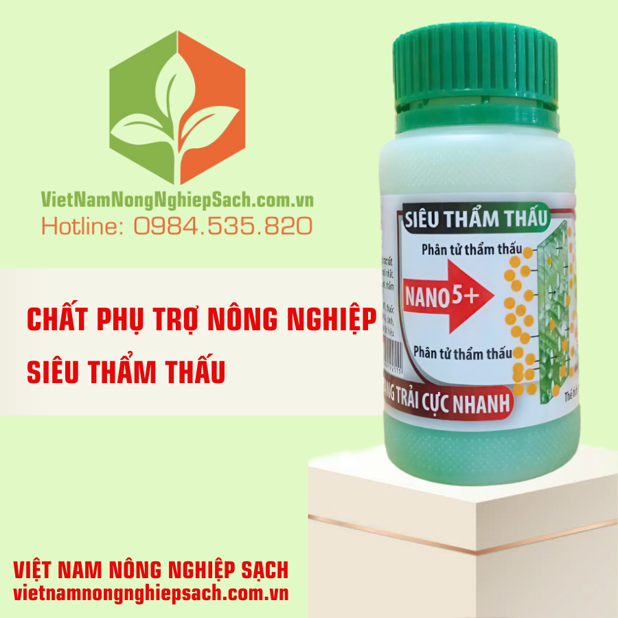 SIÊU THẨM THẤU