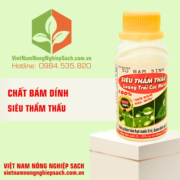SIÊU THẨM THẤU