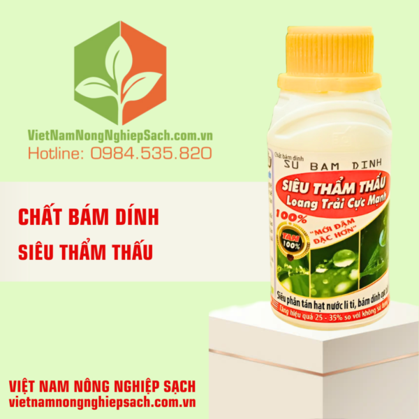 SIÊU THẨM THẤU