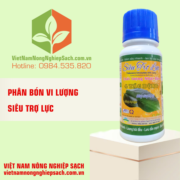 SIÊU TRỢ LỰC
