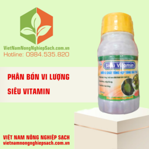 SIÊU VITAMIN