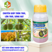SIÊU VITAMIN - vietnamnongnghiepsach.com.vn 1