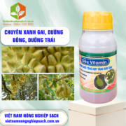 SIÊU VITAMIN - vietnamnongnghiepsach.com.vn 2