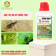 STUN 20SL - HIỆU BỌ TRĨ CHÚA (3)