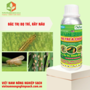 STUN 20SL - HIỆU BỌ TRĨ Á CHÂU (2)