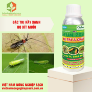 STUN 20SL - HIỆU BỌ TRĨ Á CHÂU (3)