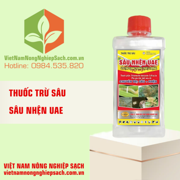 SÂU NHỆN UAE