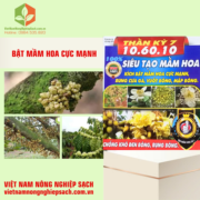 THẦN KỲ 7 10.60.10 (2)