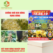 THẦN KỲ 7 10.60.10 (3)