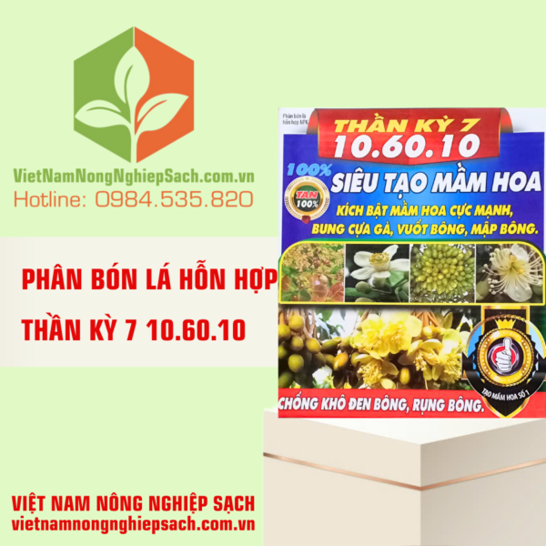 THẦN KỲ 7 10.60.10