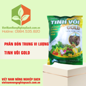 TINH VÔI GOLD