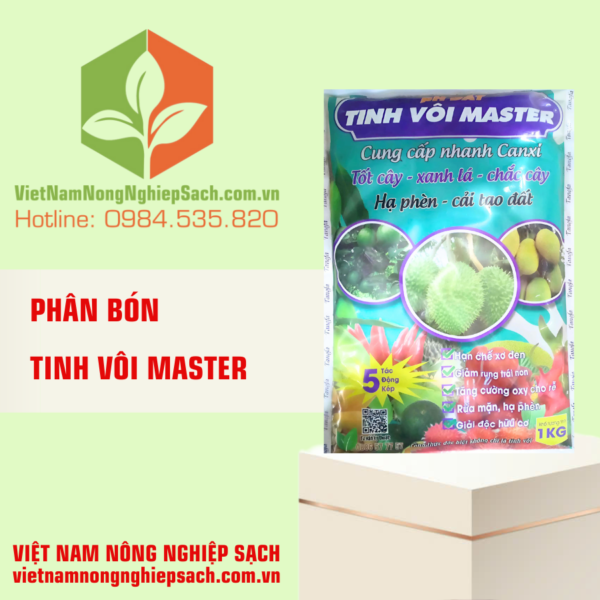 TINH VÔI MASTER